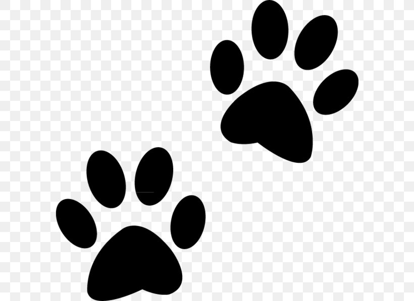 Polydactyl Cat Dog Paw Puppy, PNG, 600x597px, Cat, Animal, Blackandwhite, Claw, Dog Download Free