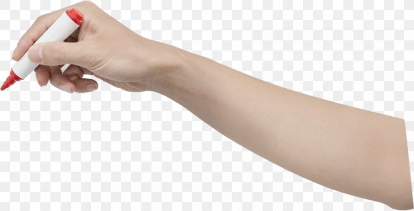 Thumb Nail, PNG, 893x456px, Thumb, Arm, Beauty, Beautym, Finger Download Free