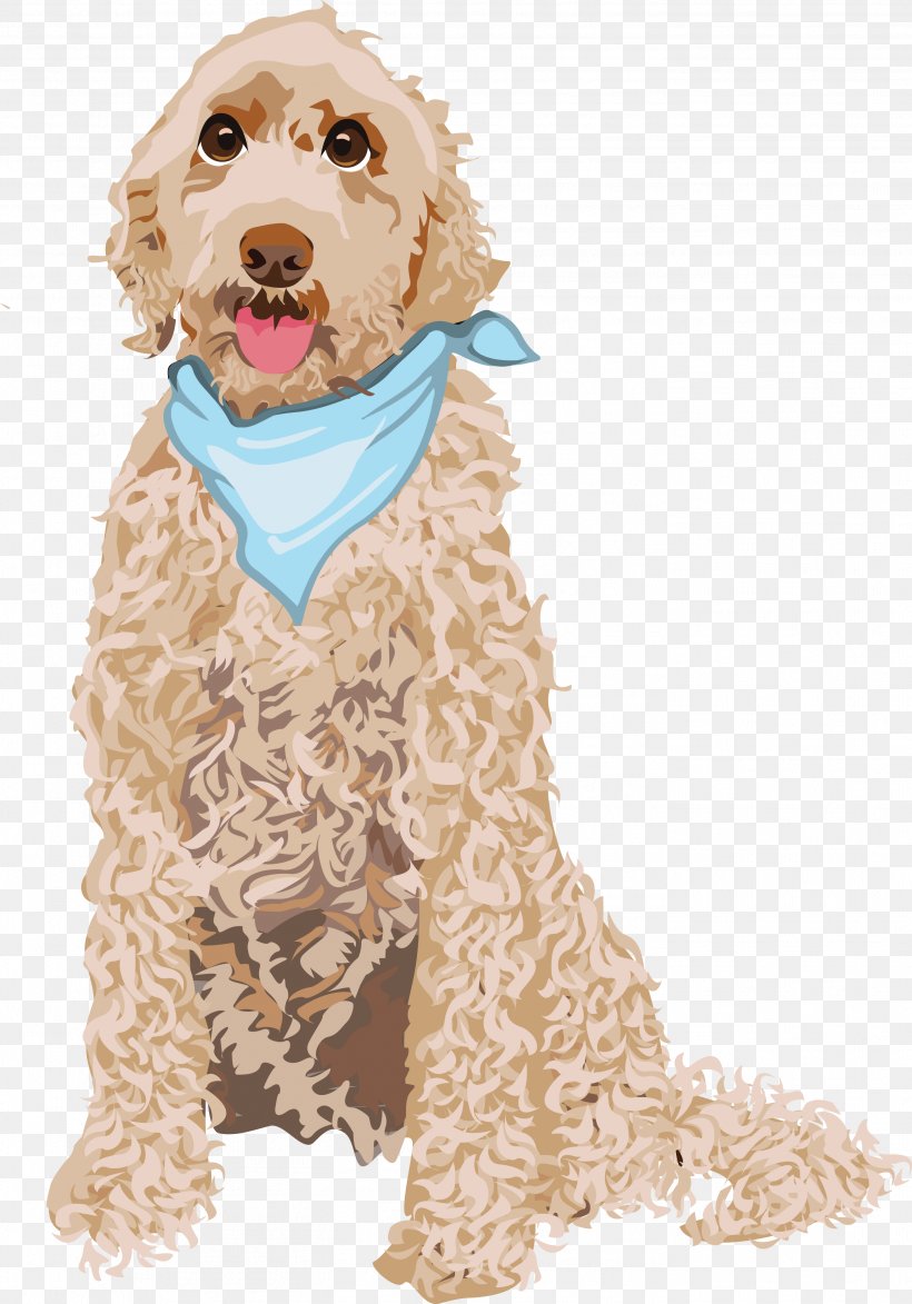 Goldendoodle Cockapoo Dog Breed Puppy Email, PNG, 2808x4019px, Goldendoodle, Breed, Carnivoran, Cockapoo, Companion Dog Download Free