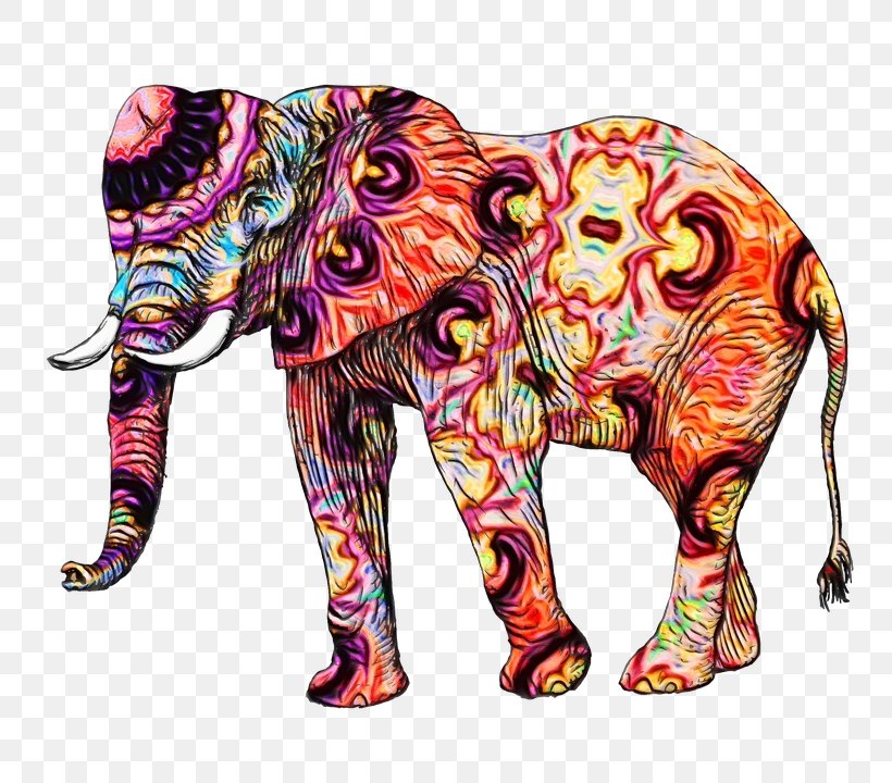 Indian Elephant, PNG, 793x720px, Watercolor, African Elephant, Elephant, Elephants And Mammoths, Indian Elephant Download Free