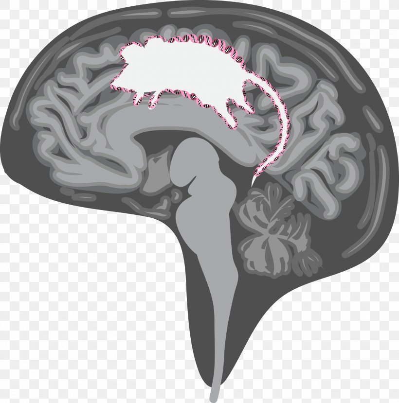 Jellyfish Medusa Tentacle Symbol Brain, PNG, 2622x2652px, Watercolor, Cartoon, Flower, Frame, Heart Download Free