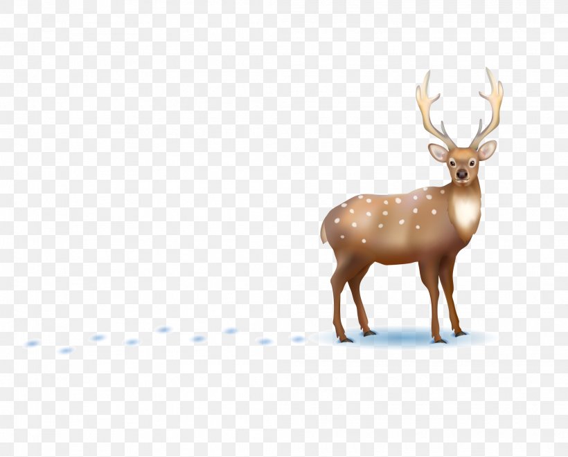 Vector Graphics Illustration Royalty-free Stock Photography Image, PNG, 2084x1680px, Royaltyfree, Antler, Deer, Elk, Fauna Download Free