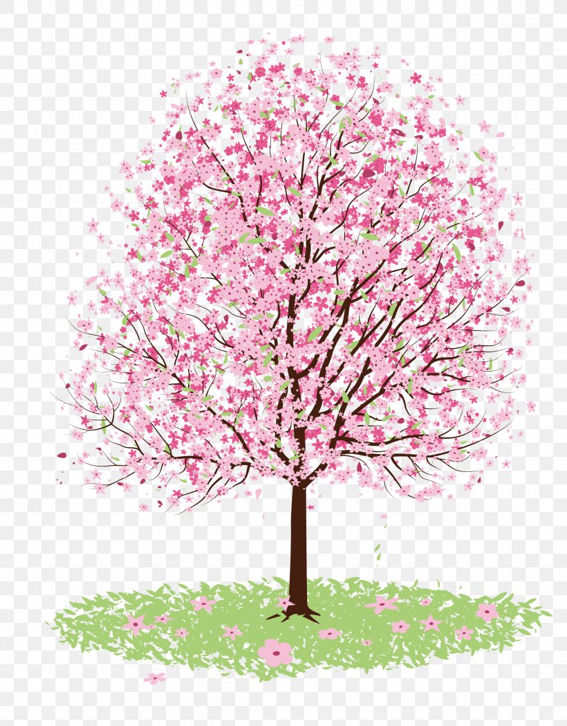 Cherry Blossom Drawing Tree, PNG, 2279x2918px, Cherry Blossom, Blossom, Branch, Cherry, Color Download Free