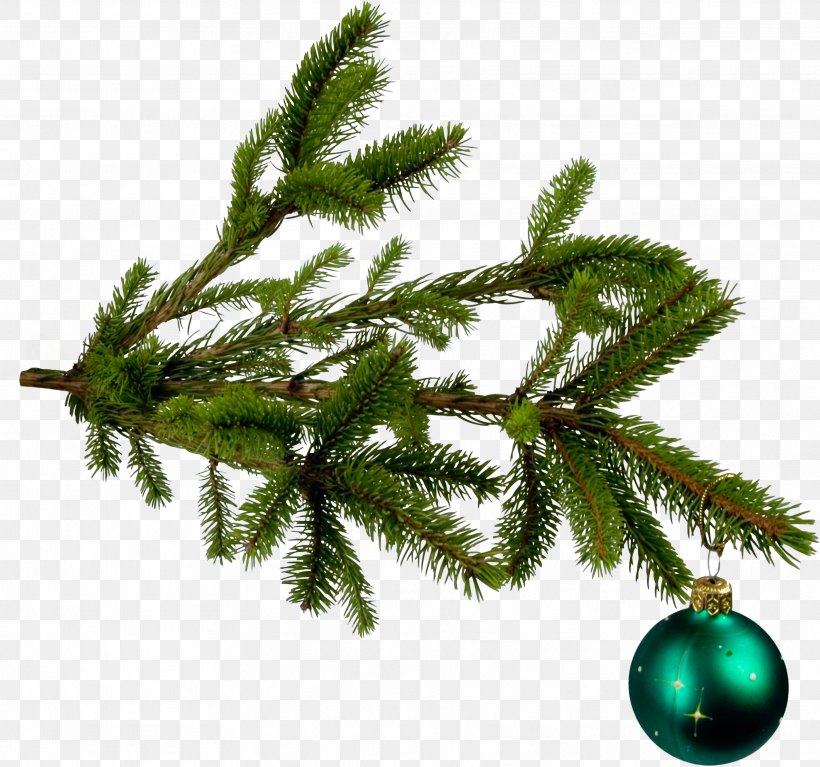 Christmas Tree Branch Christmas Ornament, PNG, 3436x3215px, Christmas, Artificial Christmas Tree, Branch, Christmas Decoration, Christmas Lights Download Free