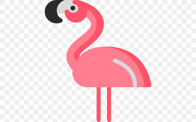 Flamingos Bird Photography, PNG, 512x512px, Flamingos, Beak, Bird, Flamenco, Flamingo Download Free