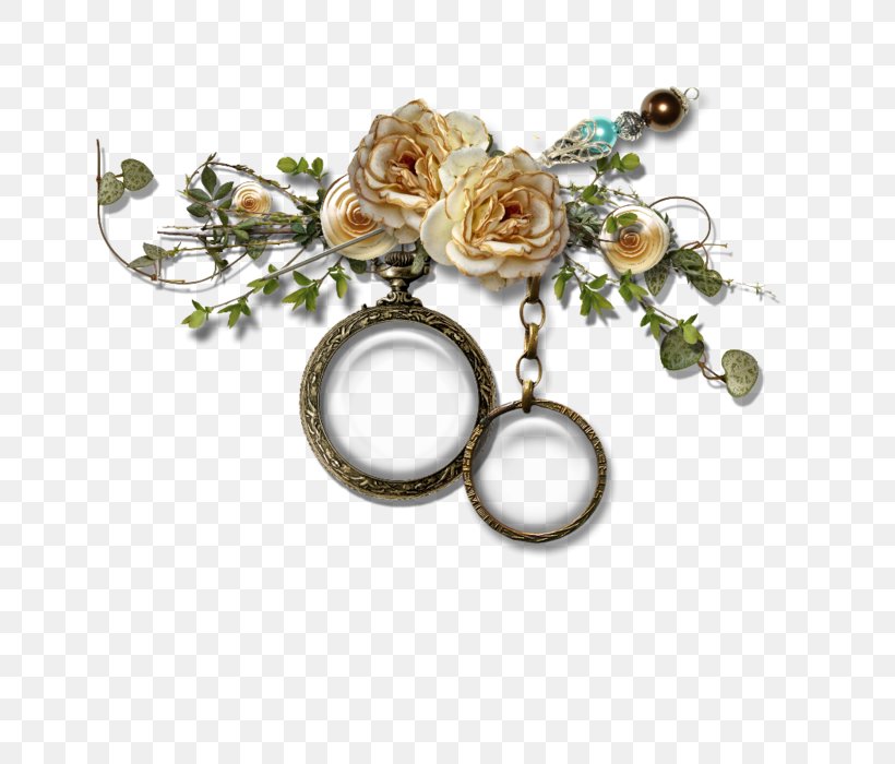 Picture Frames Photography Image, PNG, 700x700px, Picture Frames, Blog, Body Jewelry, Exif, Flower Download Free