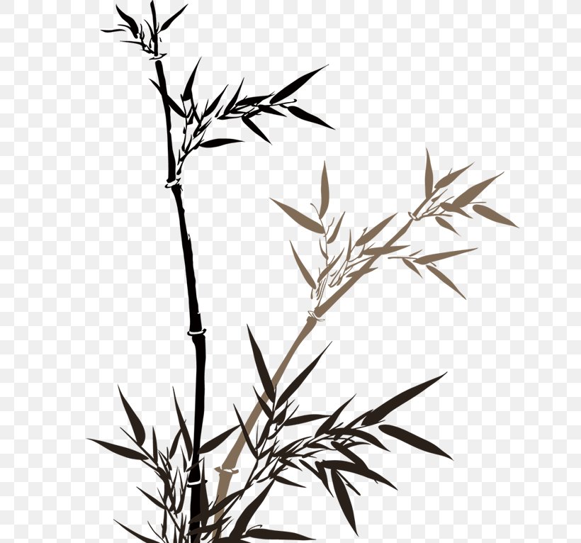 Bamboo Chinoiserie, PNG, 720x766px, Bamboo, Bambusa Oldhamii, Black And White, Branch, Cartoon Download Free