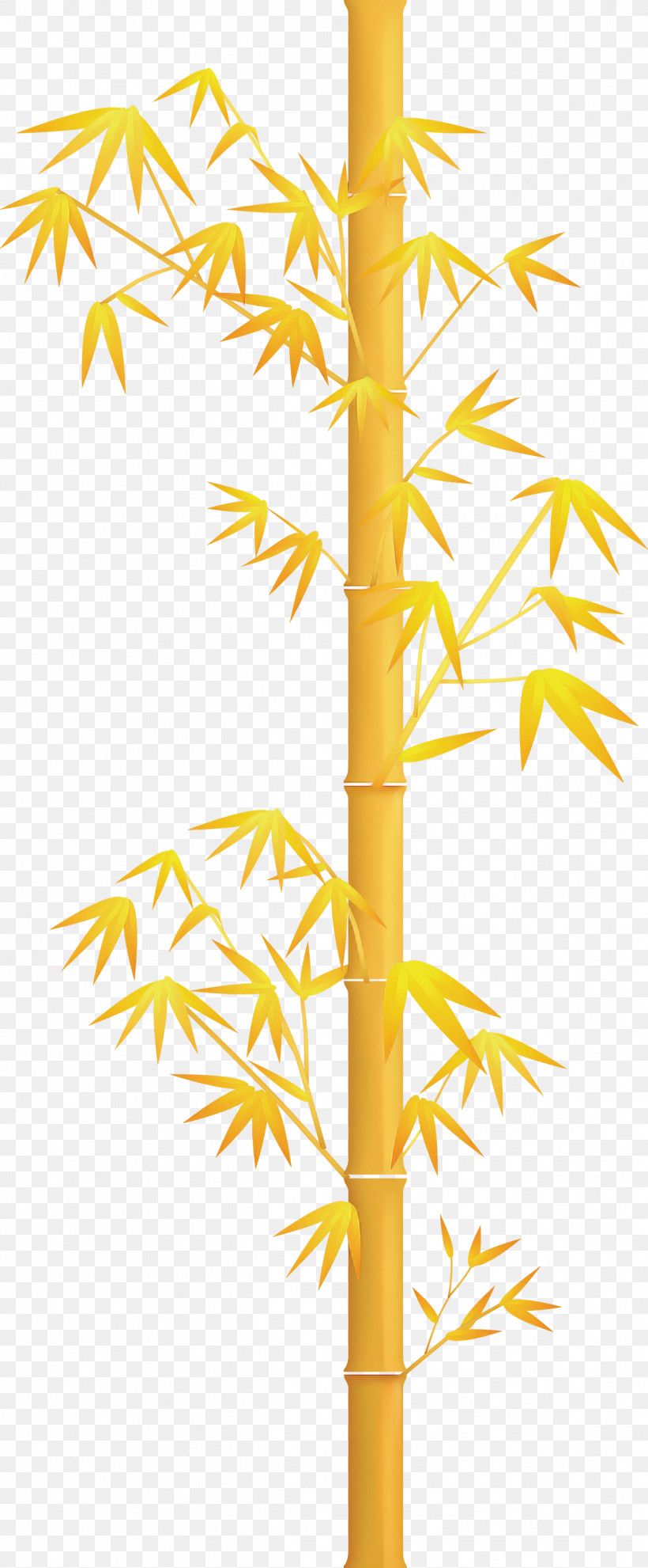 Bamboo Leaf, PNG, 1241x2999px, Bamboo, Branch, Leaf, Line, Plant Download Free