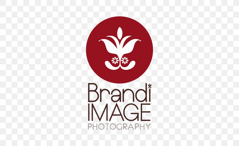 Brandi Image Photography Photographer Wedding Photography Senior Brandi R, PNG, 500x500px, Photographer, Brand, Com, District Of Columbia, Logo Download Free