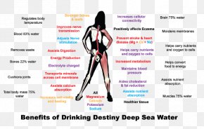 Water In Body - Finger Human Body Mineral Health Anatomy PNG