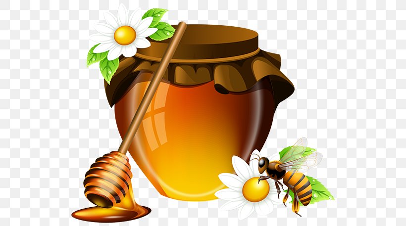 Bee Honey Jar, PNG, 550x457px, Bee, Food, Honey, Honey Bee, Insect Download Free