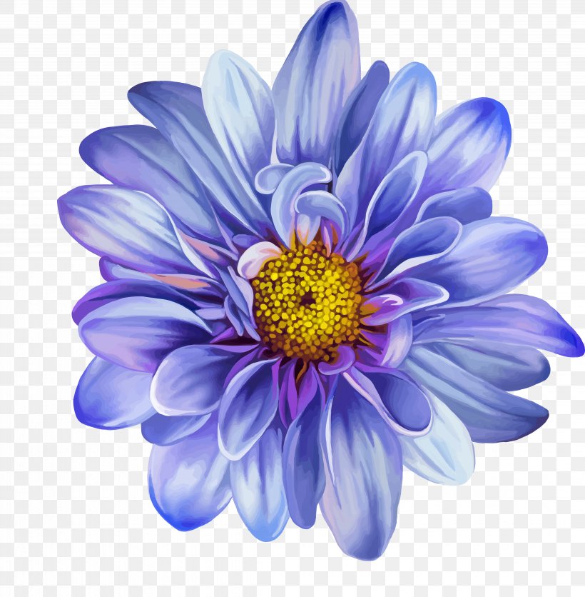 Flower Drawing Blue Rose Clip Art, PNG, 4530x4620px, Flower, Annual Plant, Art, Aster, Blue Rose Download Free