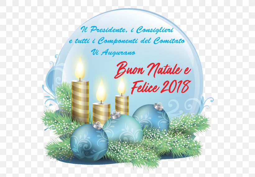 Italian Volleyball Federation PalaFerraro Banca Brutia Christmas Ornament, PNG, 1948x1358px, 2017, Volleyball, Area, Augur, Christmas Day Download Free