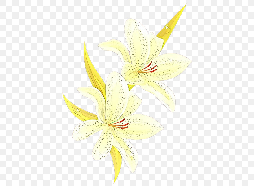 White Flower Lily Yellow Petal, PNG, 426x600px, White, Flower, Lily, Lily Family, Petal Download Free