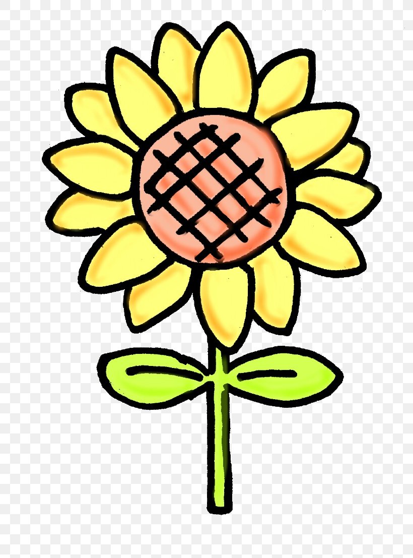 Clip Art Sunflower M Cut Flowers Plant Stem Line, PNG, 800x1107px, Sunflower M, Artwork, Cut Flowers, Flora, Flower Download Free