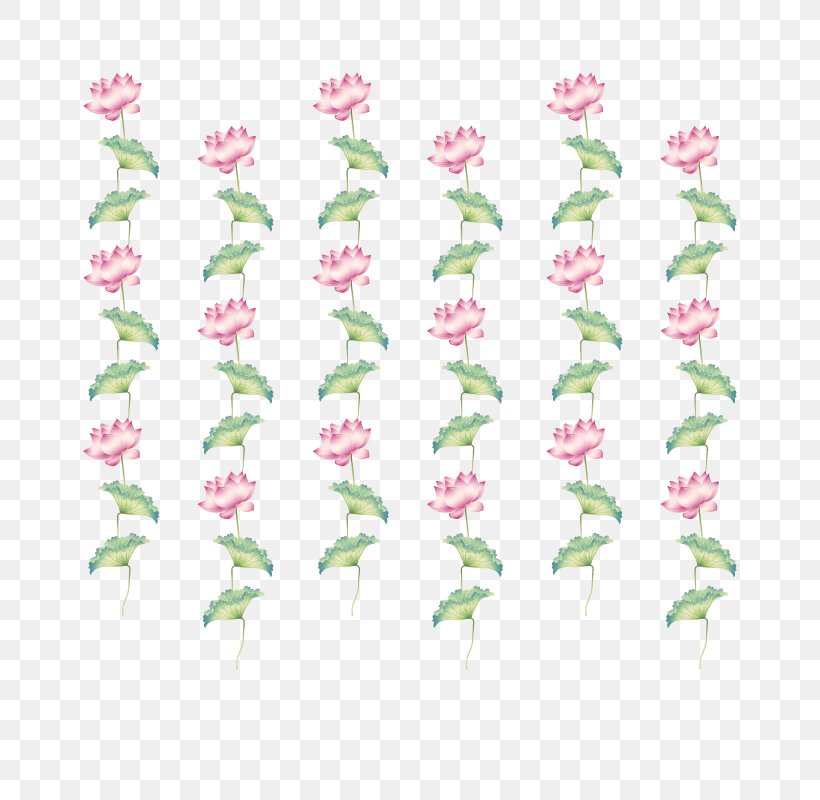 Petal Flora Green Rosaceae Pattern, PNG, 800x800px, Petal, Border, Branch, Family, Flora Download Free