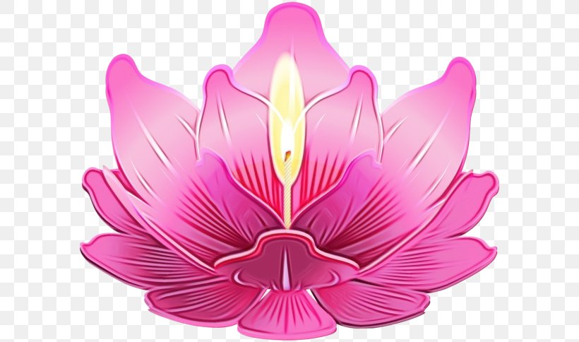 Image Clip Art GIF Candle, PNG, 600x484px, Candle, Animation, Botany, Candles Candles, Crocus Download Free