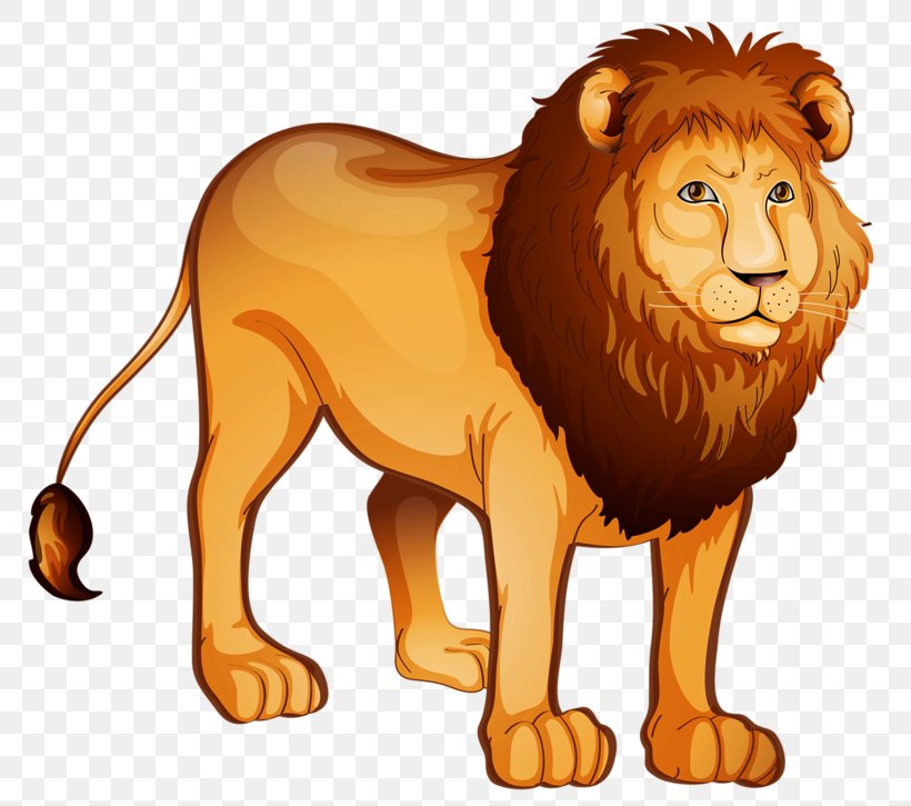 The Lion King Tiger Felidae, PNG, 800x725px, Lion, Animal, Big Cats, Carnivoran, Cat Like Mammal Download Free