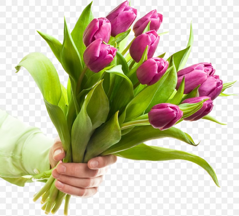 Cut Flowers Stock Photography Tulip Flower Bouquet, PNG, 2552x2314px, Flower, Cut Flowers, Floral Design, Floristry, Flower Arranging Download Free