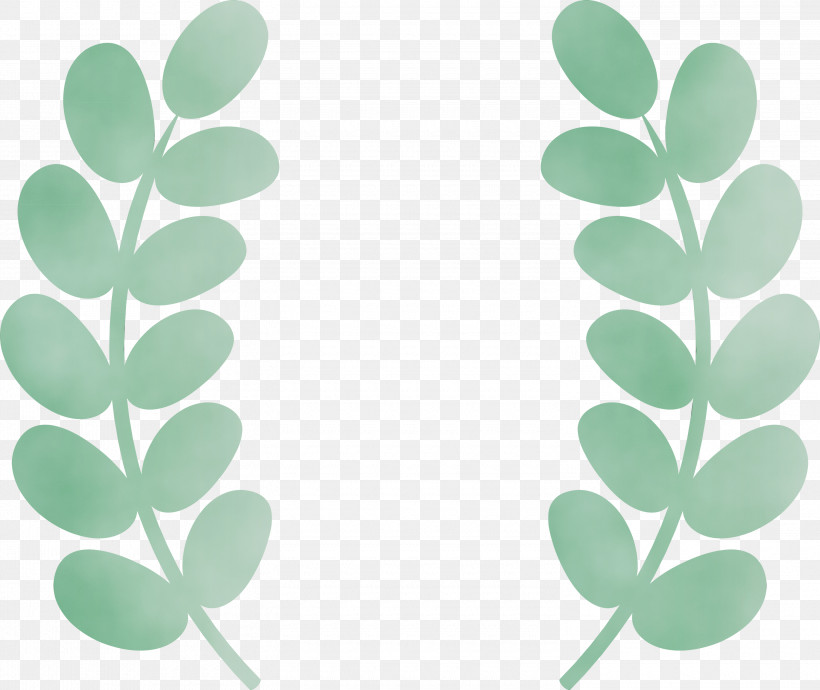 Leaf Plant Identification Green Meter Plants, PNG, 3000x2528px, Wheat Ears, Biology, Green, Leaf, Meter Download Free