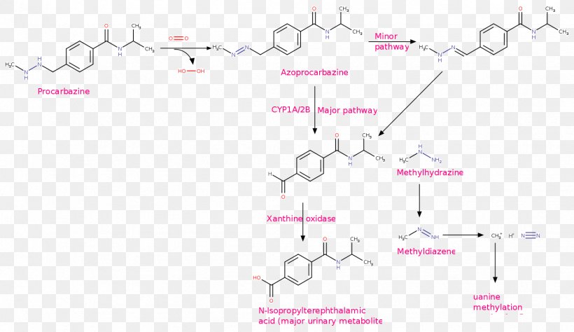 Line Point Angle Font, PNG, 1541x892px, Point, Acid, Area, Diagram, Pink Download Free