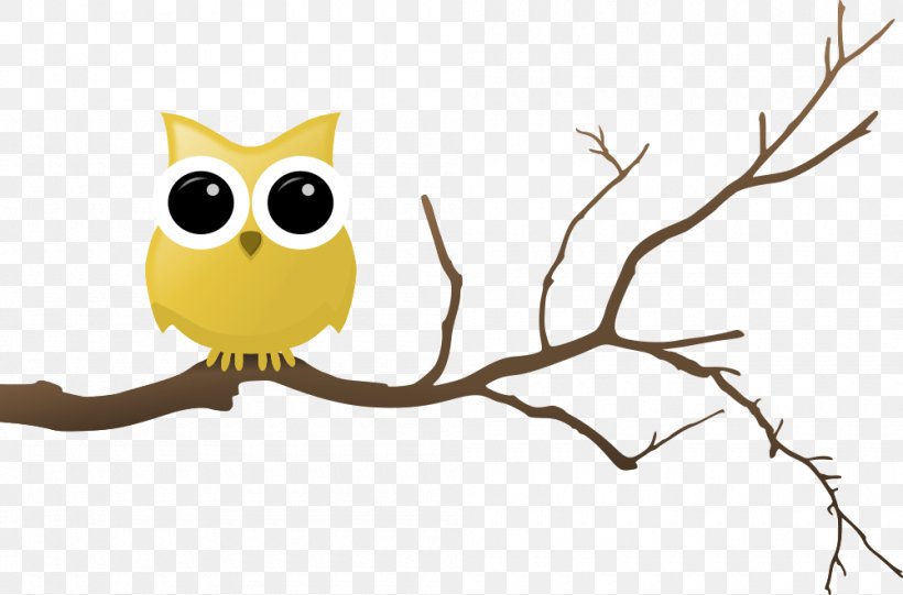 Owl Branch Drawing Clip Art, PNG, 1000x660px, Owl, Beak, Bird, Bird Of Prey, Branch Download Free