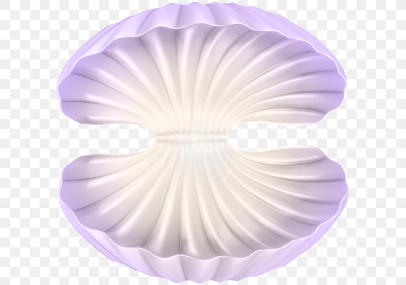 Oyster Clip Art, PNG, 600x576px, Oyster, Art, Clam, Organism, Pearl Download Free