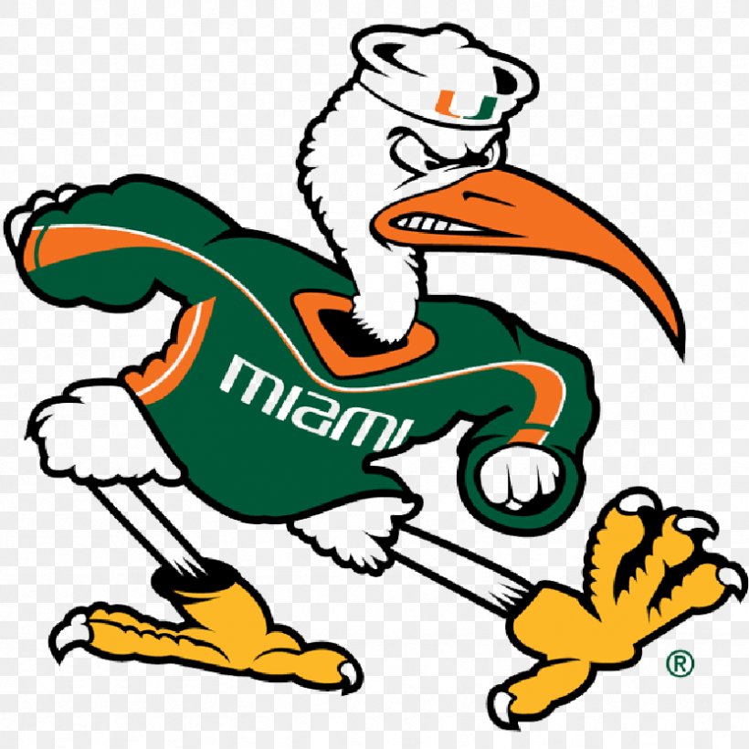 University Of Miami Miami Hurricanes Football Miami Hurricanes Baseball Sebastian The Ibis Miami Hurricanes Men's Basketball, PNG, 833x833px, University Of Miami, American Football, Animal Figure, Artwork, Beak Download Free