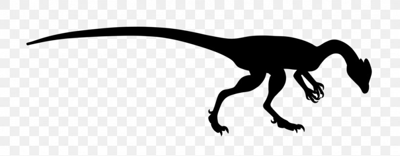 Velociraptor Silhouette Black White Clip Art, PNG, 1024x402px, Velociraptor, Beak, Black, Black And White, Dinosaur Download Free