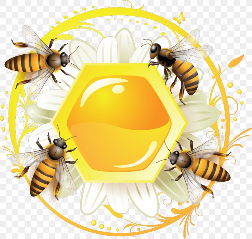 Western Honey Bee Label, PNG, 1077x1024px, Western Honey Bee, Apiary, Arthropod, Bee, Bumblebee Download Free
