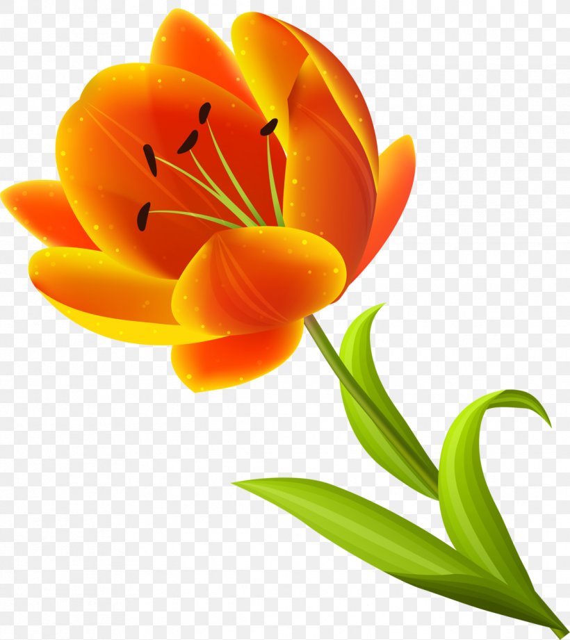 Cut Flowers Alstroemeriaceae Tulip Plant, PNG, 1139x1280px, Flower, Alstroemeriaceae, Closeup, Cut Flowers, Flowering Plant Download Free
