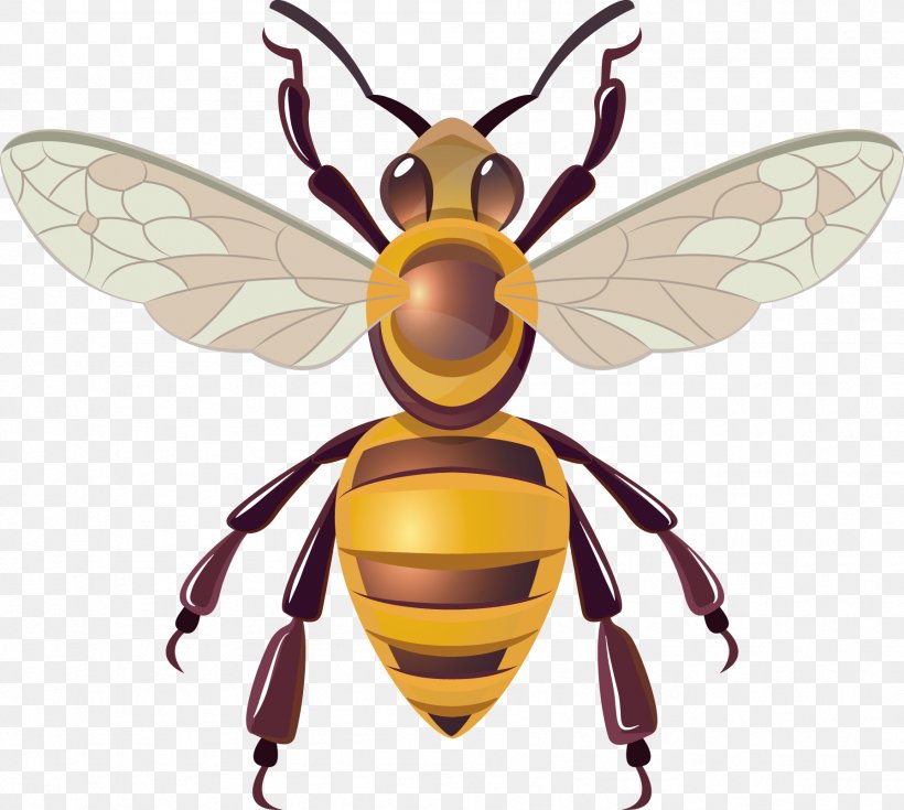 Honey Bee Hornet Insect, PNG, 1792x1607px, Honey Bee, Arthropod, Bee, Cartoon, Computer Graphics Download Free