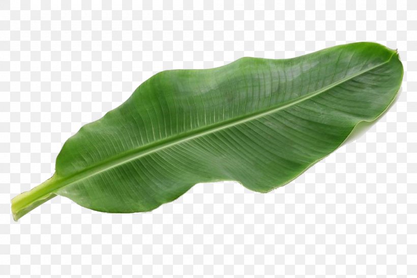 Banana Leaf Pisang Goreng Food, PNG, 1000x667px, Banana Leaf, Banana, Food, Istock, Leaf Download Free