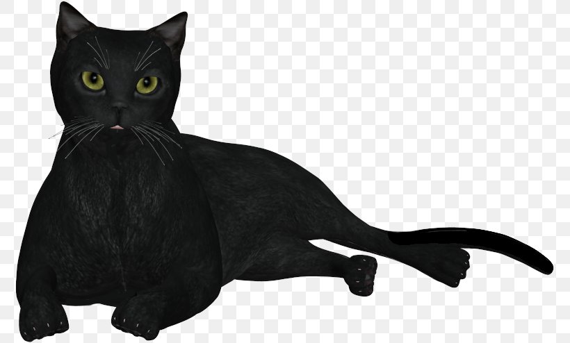Black Cat Bombay Cat Domestic Short-haired Cat Whiskers, PNG, 777x494px, Black Cat, Author, Black, Black And White, Black M Download Free