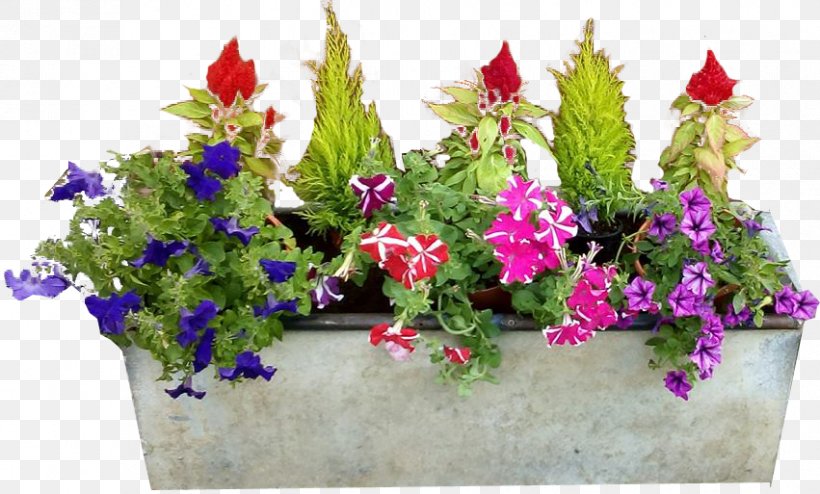Flowerpot Flower Box Flower Garden, PNG, 851x513px, Flowerpot, Annual Plant, Artificial Flower, Box, Container Download Free