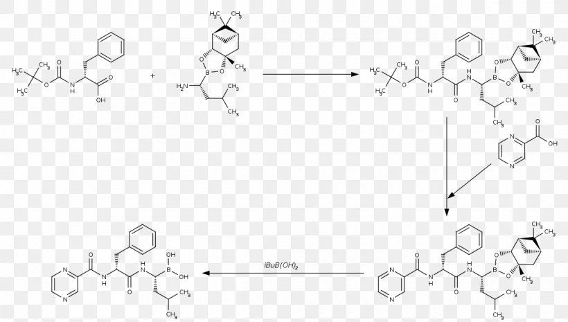 Glipizide Gliclazide Glibenclamide Glimepiride White, PNG, 1200x681px, Glipizide, Area, Black And White, Diagram, Drawing Download Free
