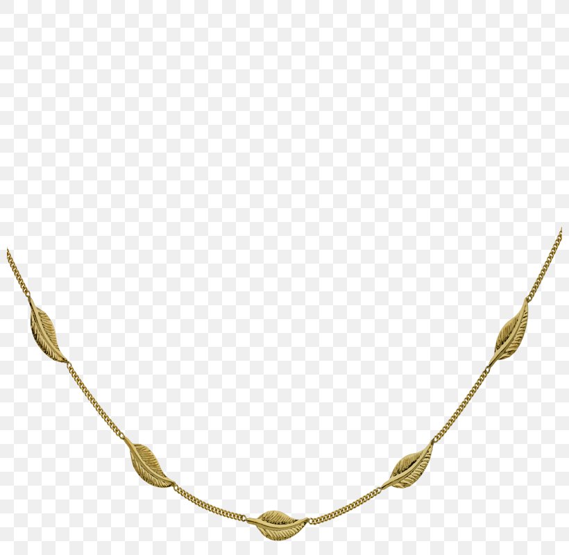 Necklace Bijou Jewellery Chain Gold, PNG, 800x800px, Necklace, Bead, Bijou, Body Jewellery, Body Jewelry Download Free