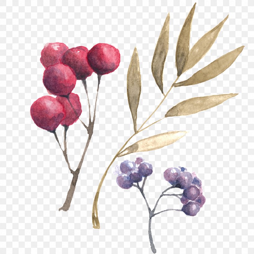 Image Computer File Clip Art Download, PNG, 1024x1024px, Plant, Berry, Botany, Branch, Flower Download Free