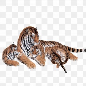 Baby Tigers Images, Baby Tigers Transparent PNG, Free download
