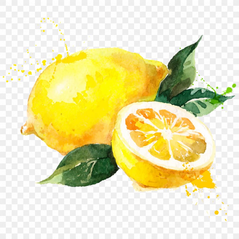 Watercolor Painting Lemon Royalty-free Drawing, PNG, 1024x1023px, Watercolor Painting, Bitter Orange, Citric Acid, Citron, Citrus Download Free