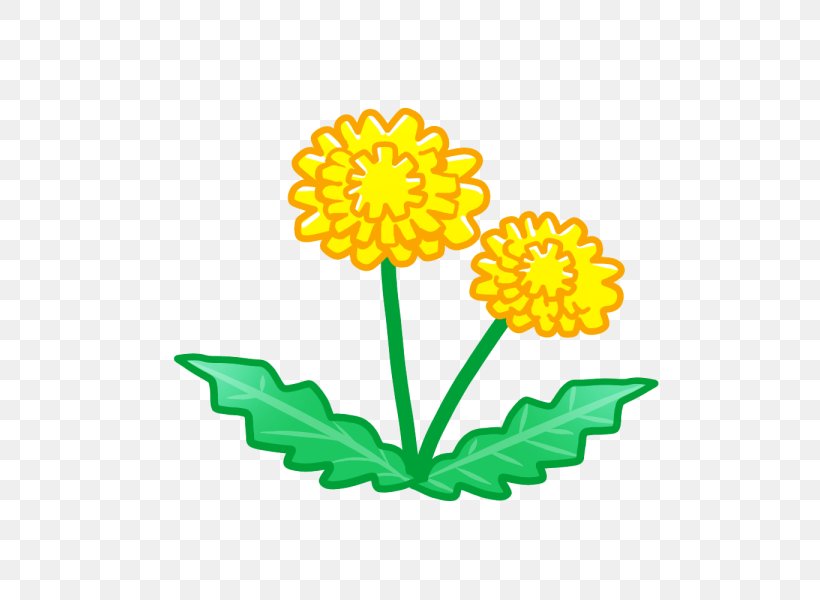 Dandelion Chrysanthemum Shintori, PNG, 600x600px, Dandelion, Chrysanthemum, Chrysanths, Cut Flowers, Daisy Download Free