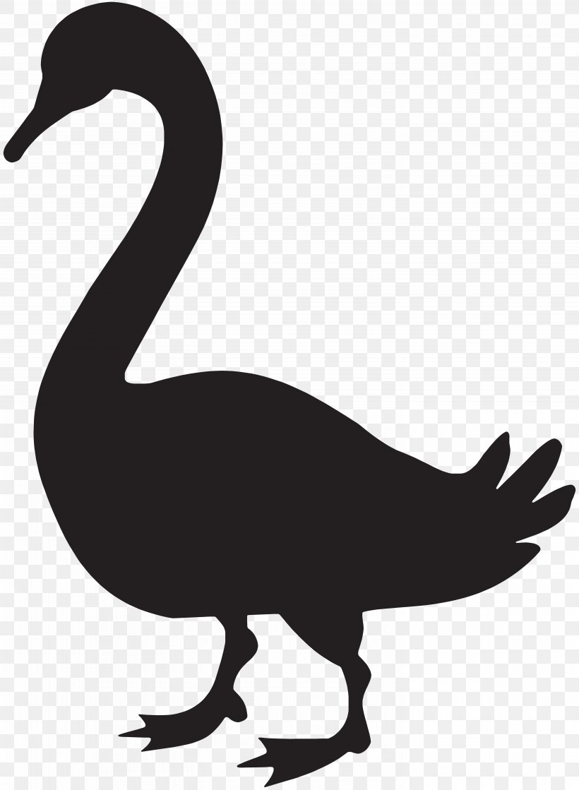 Goose Duck Silhouette Clip Art, PNG, 5860x8000px, Goose, Beak, Bird, Black And White, Black Swan Download Free