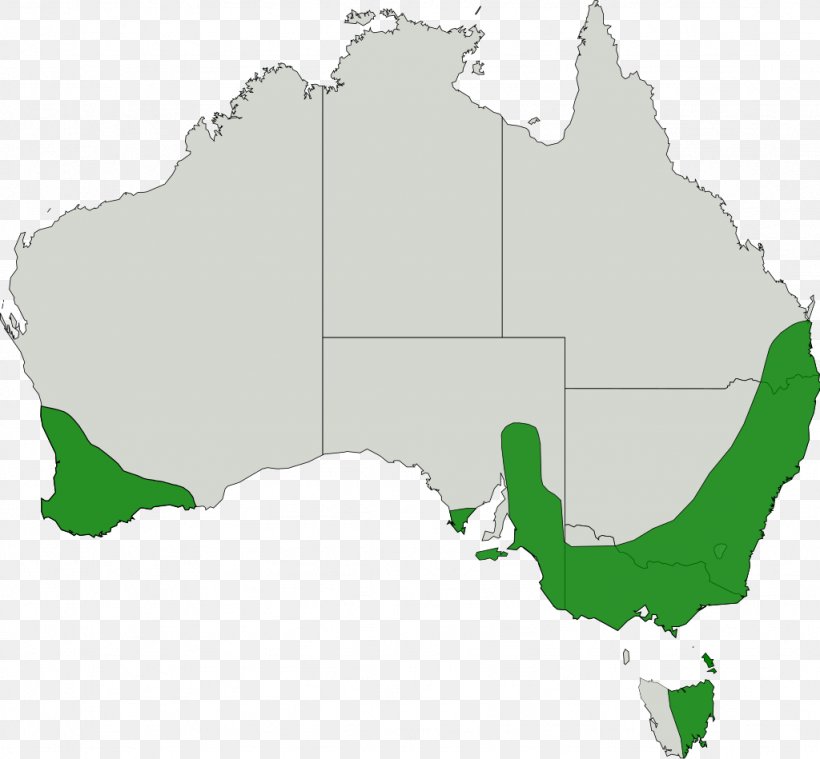 United States South Australia Victoria Government Clip Art, PNG, 1024x949px, United States, Area, Australia, Ecoregion, Government Download Free