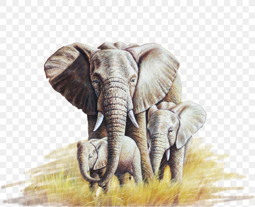 African Elephant Oil Painting Canvas, PNG, 1892x1535px, African Elephant, Animal, Art, Artist, Canvas Download Free