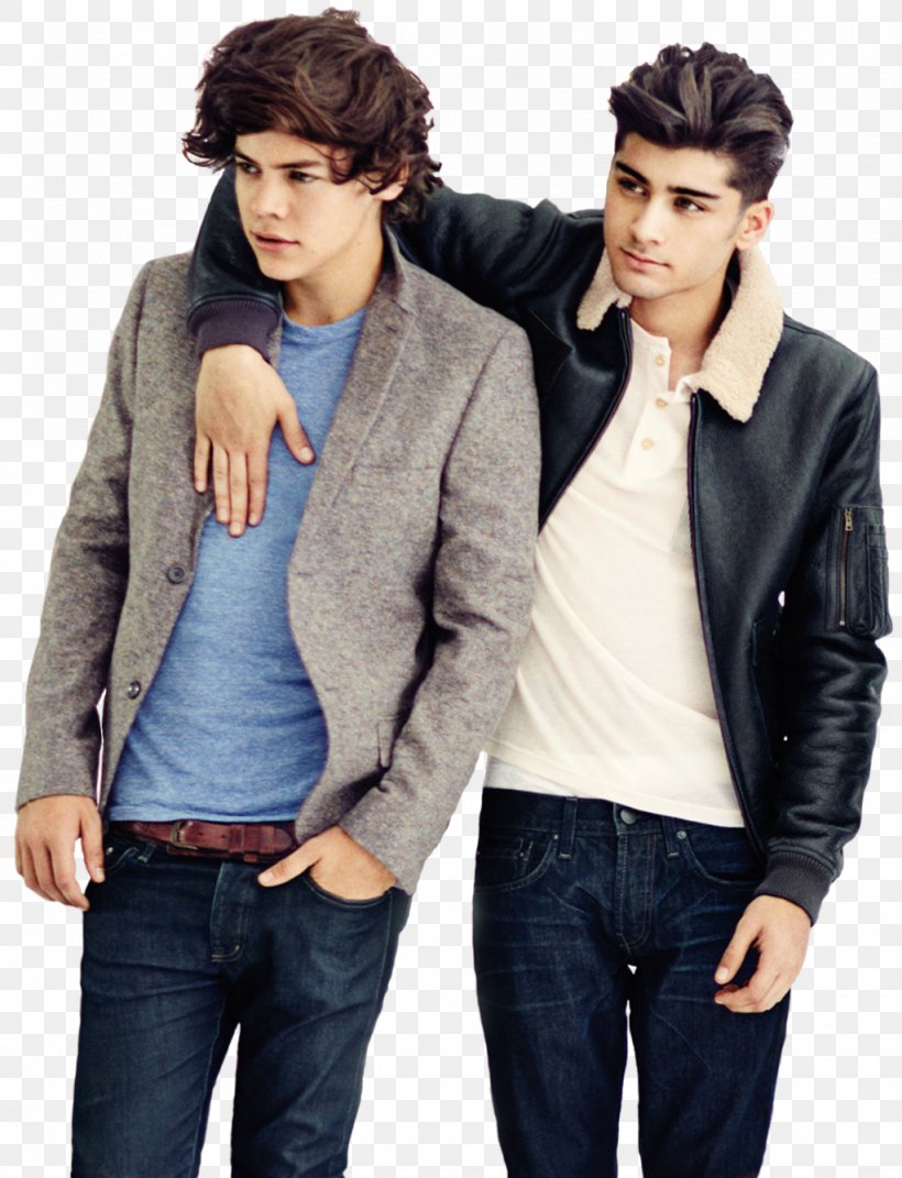 Zayn Malik Harry Styles The X Factor One Direction: Forever Young, PNG, 1024x1338px, Watercolor, Cartoon, Flower, Frame, Heart Download Free