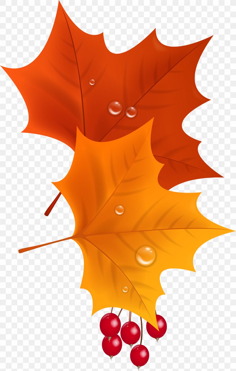 Maple Leaf Clip Art, PNG, 2180x3426px, Leaf, Autumn, Bookmark, Digital Image, Flowering Plant Download Free