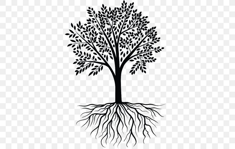 Tree Clip Art, PNG, 520x520px, Tree, Black And White, Bonsai, Branch, Decal Download Free