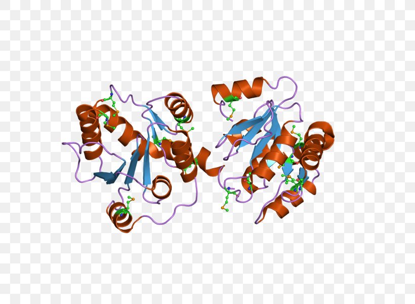 UGT2B7 Glucuronosyltransferase Metabolism Isozyme Benzidine, PNG, 800x600px, Watercolor, Cartoon, Flower, Frame, Heart Download Free