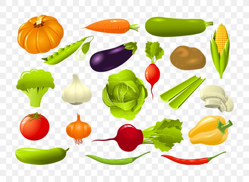 Vegetarian Cuisine Vector Graphics Vegetable Clip Art Illustration, PNG, 800x600px, Vegetarian Cuisine, Commodity, Cuisine, Diet Food, Food Download Free