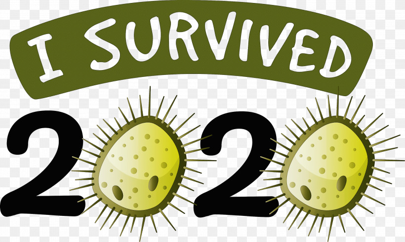 I Survived I Survived 2020 Year, PNG, 3000x1800px, I Survived, Biology, Fruit, Kiwifruit, Meter Download Free